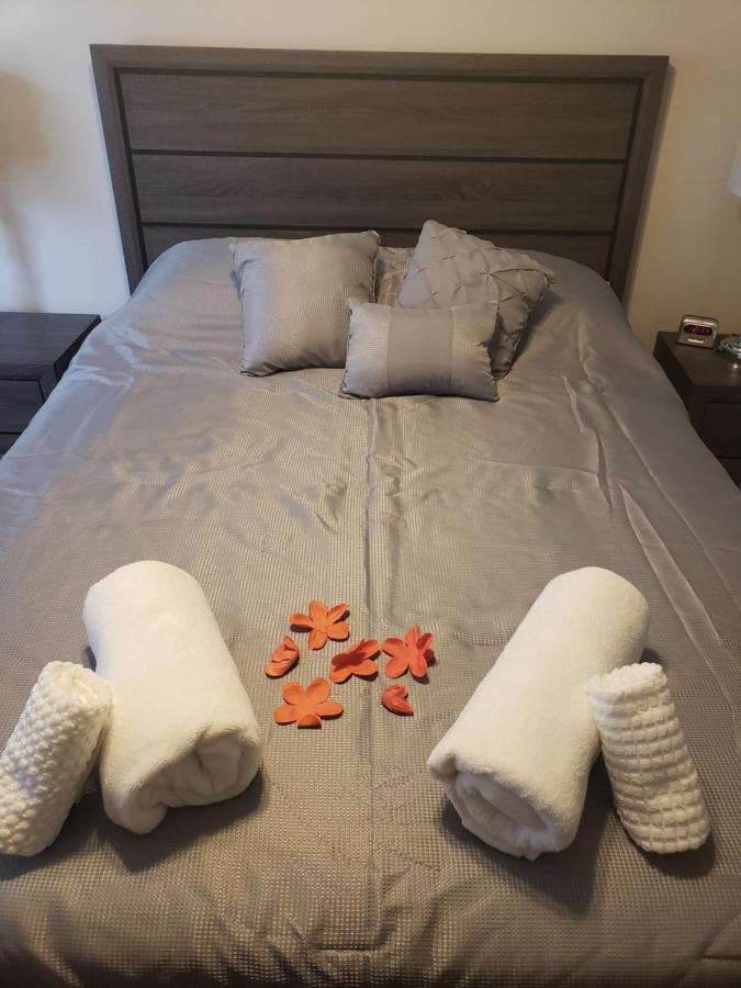 Coral Springs Paradise Ngoại thất bức ảnh